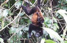 Puntarenas sightseeing tour