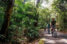Mountain bike Tijuca Rain Forest