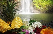 Wailua River & Waterfalls Kayak Tour: Expert-Guided Adventure