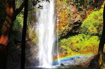 Wailua River & Waterfalls Kayak Tour: Expert-Guided Adventure