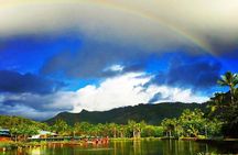 Wailua River & Waterfalls Kayak Tour: Expert-Guided Adventure