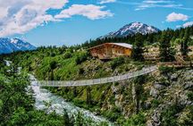 Skagway Shore Excursion: Half-Day Tour to the Yukon Border and Suspension Bridge