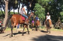 Horse Sanctuary & Trail Ride