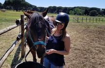 Horse Sanctuary & Trail Ride