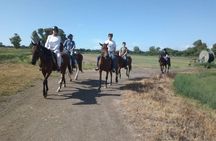 Rome : Horseback Riding with meals and wine included 