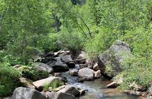 Private Mount Rushmore and Flume Trail Hike