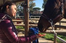 Rome : Horseback Riding with meals and wine included 