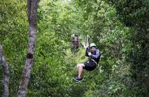 Private Tour with 3 Cenotes + 5 Zip-lines + Mayan Lunch