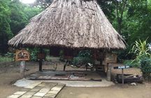 Authentic Cultural and Historical Village Tour of Nadi Ex Fiji Marriott Resort