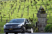 6-Hours Private Napa Wine Tour in a MKT sedan ( 2 Passengers)