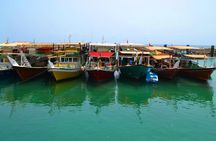 Musandam full day Sea safari with lunch from Dubai