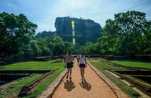 Exclusive : Sigiriya Rock Fortress and Dambulla Cave Temple Tour