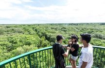 Private Can Gio Mangrove Eco Tour – Boat & Wildlife