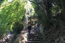 Tokyo Countryside Exploration Private Tour
