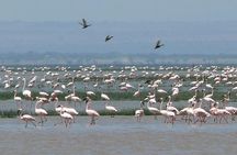 2Days Great Rift Valley Lakes ,megalithic Site Tiya & Addadi Mariam