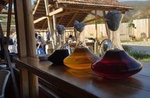 Natural Wine Tour to Kartli region, lunch & wine tasting at Andro Barnovi