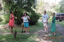 St Lucia Sunday's Tour