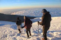 8 Days climb Mt Kilimanjaro through Lemosho Route