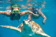Full Day Sail with Max Charters