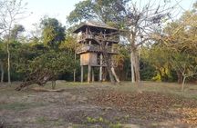 Jungle Towernight Stay In Chitwan National Park ,nepal-2 Nights 3 Days Package