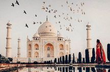 Sunrise Taj Mahal Tour By Car From Delhi ::-Private Tour
