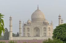  Agra Local Tour with Taj Mahal 