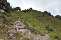 Benog Tibba Nature Trail