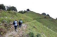 Benog Tibba Nature Trail