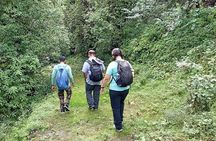 Benog Tibba Nature Trail