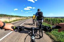 Discovery by bike & Tasting in the vineyards