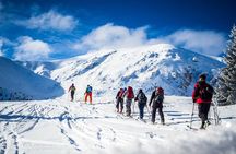 4 hours skitour trip in Tatra Mountains for beginners with renting equipment
