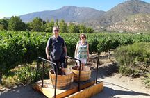 Casablanca Valley Wine tour + Valparaiso (small group tour)