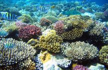 From Hurghada: Sharm El Naga Full-Day Snorkeling Tour 