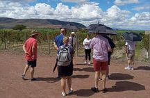 Local Vineyard Tour & Wine Tasting at the Independence Valley