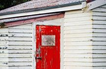 Guided Walking Tour & Scenic Drive - Lyttelton & Godley Head