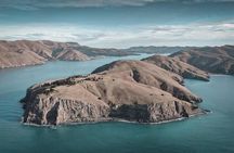 Guided Walking Tour & Scenic Drive - Lyttelton & Godley Head