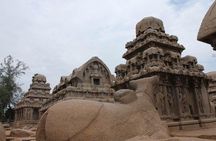 Archaeologist curation only Mahabalipuram Trip