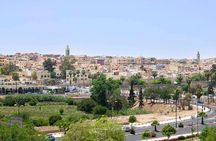 happy day trip of Volubilis and Meknes from Fez