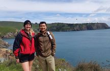 Guided Walking Tour & Scenic Drive - Lyttelton & Godley Head