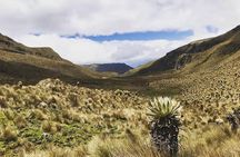 Discover Frailejones in Los Nevados National Natural Park (2 days)