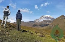 Discover Frailejones in Los Nevados National Natural Park (2 days)