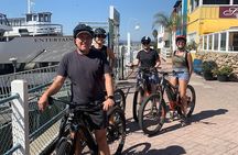 Santa Monica to Marina Del Rey e-Bike Beach Tour 