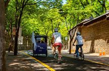 Morning Pedicab Heritage Tour