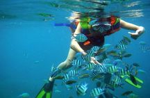 Nha Trang Bay Private Boat Tour