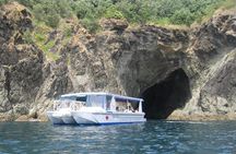 Glass Bottom Boat Tour