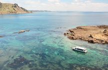Glass Bottom Boat Tour