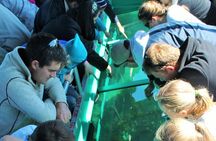 Glass Bottom Boat Tour