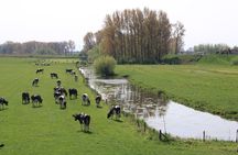 Cheese Clogs Windmills & Countryside Private Tour in Jaguar