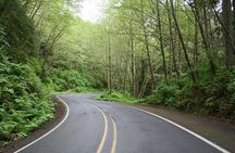 Cruise Ship Shore Excursion - Private Great Ocean Road Full Day Tour (12 Hour)