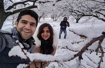 Multi-Day Winter Sightseeing Tour in Armenia